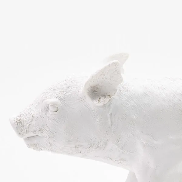 Areaware Reality Bank in the Form of a Pig - Matte White