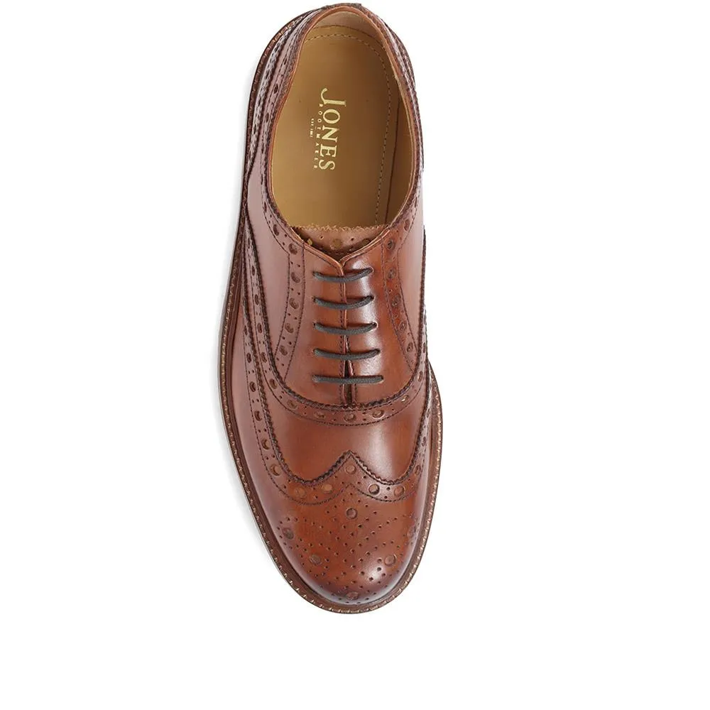 Bertie Oxford Men's Brogues - BERTIE / 319 278